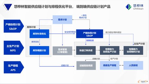 悠桦林国内供应商排名第一,中国智能供应链计划与排程市场份额报告正式发布